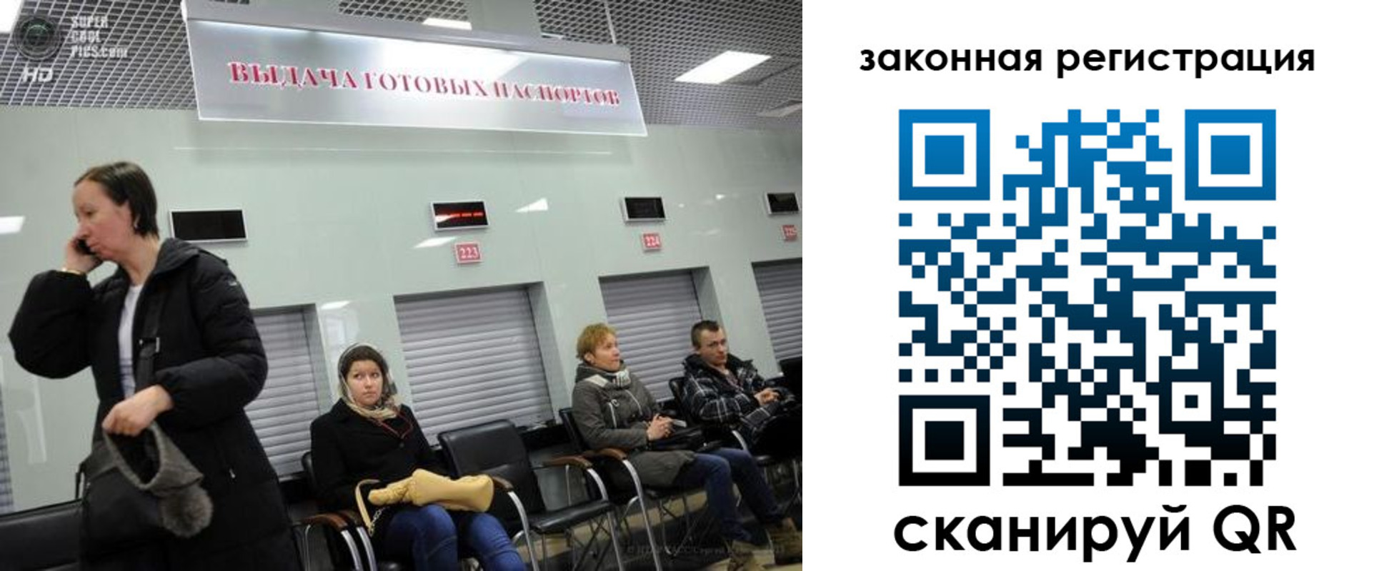 прописка в квартире в Пионерском